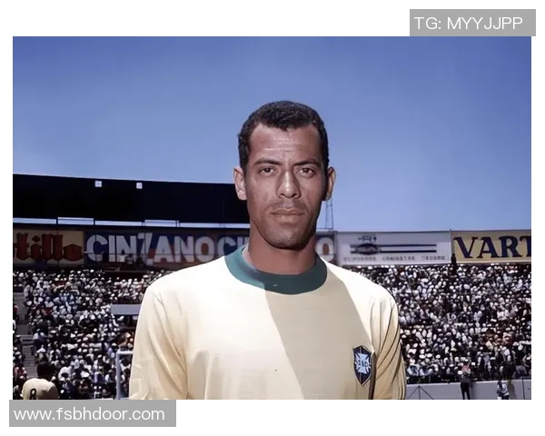 从防线核心到球队灵魂聚焦当代足球后位球星的成长与变革 从防线核心到球队灵魂聚焦当代足球后位球星的成长与变革